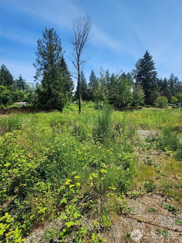 Property photo for 376 Xx 47th Avenue S, Auburn photo 2