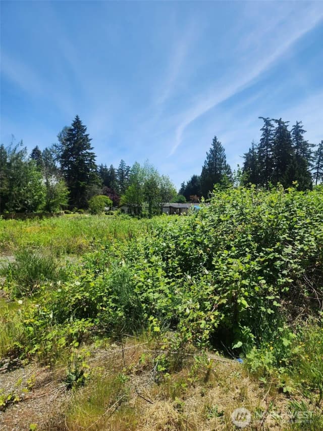 Property photo for 376 Xx 47th Avenue S, Auburn photo 5