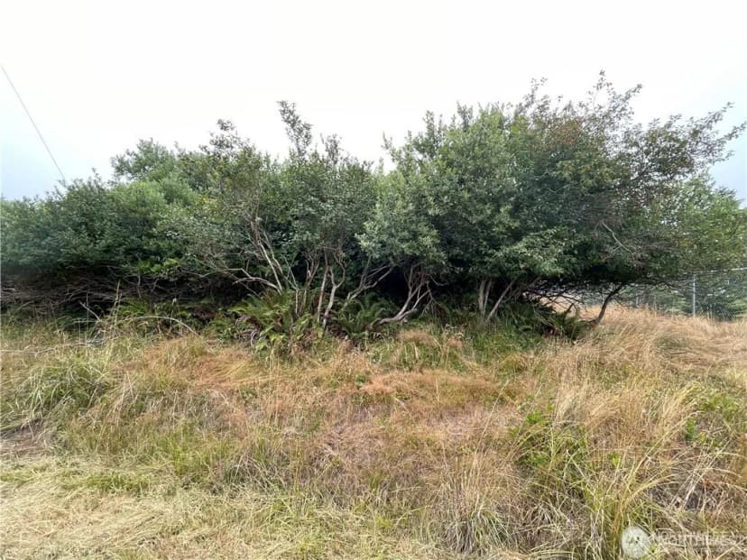 Property photo for 618 Canal Drive Ne, Ocean Shores photo 7