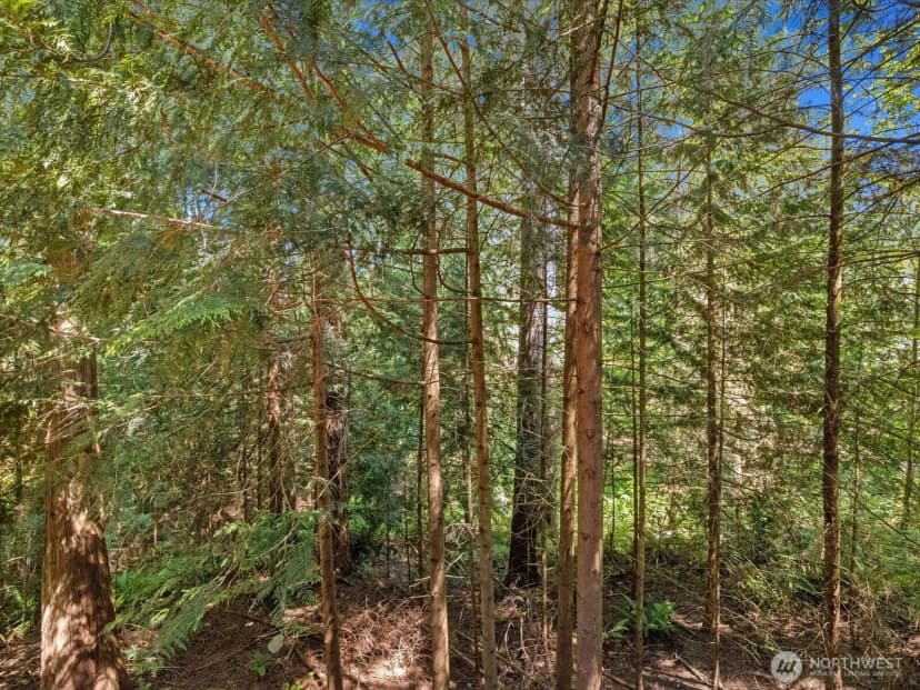 Property photo for 17116 Gravenstein Road, Bothell photo 23