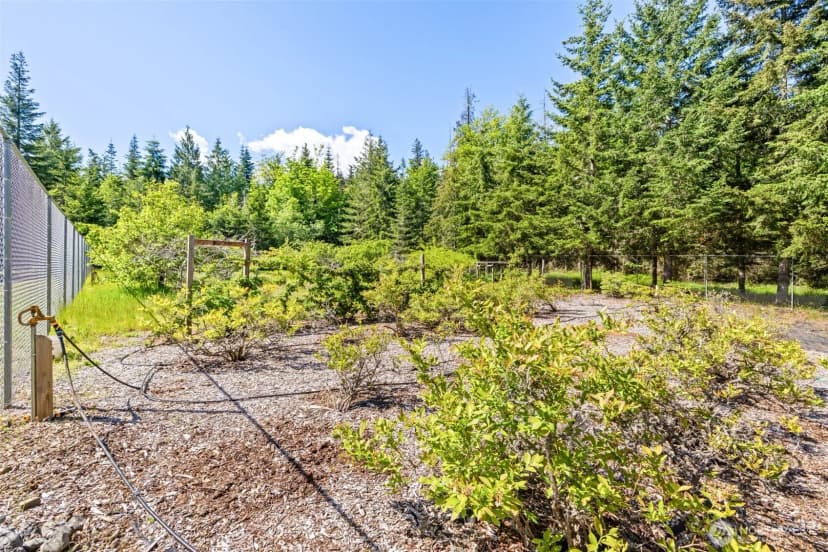 Property photo for 5611 S Doss Road, Port Angeles photo 27