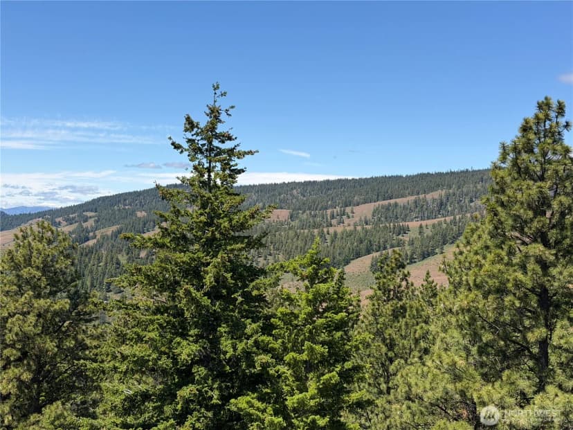 Property photo for 3054 W Sun East Road, Ellensburg photo 38