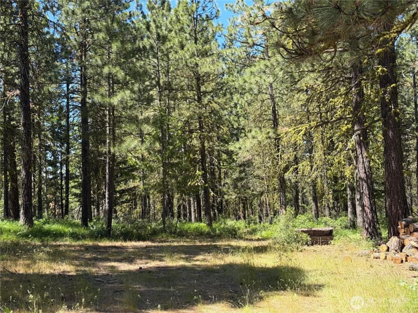 Property photo for 3054 W Sun East Road, Ellensburg photo 40