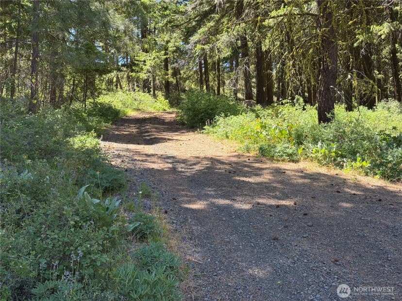 Property photo for 3054 W Sun East Road, Ellensburg photo 29