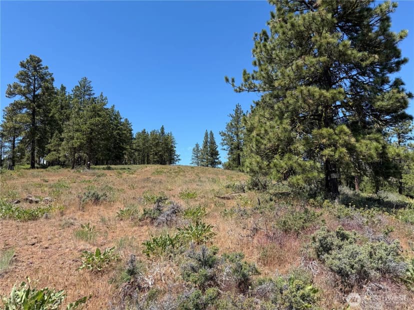 Property photo for 3054 W Sun East Road, Ellensburg photo 31