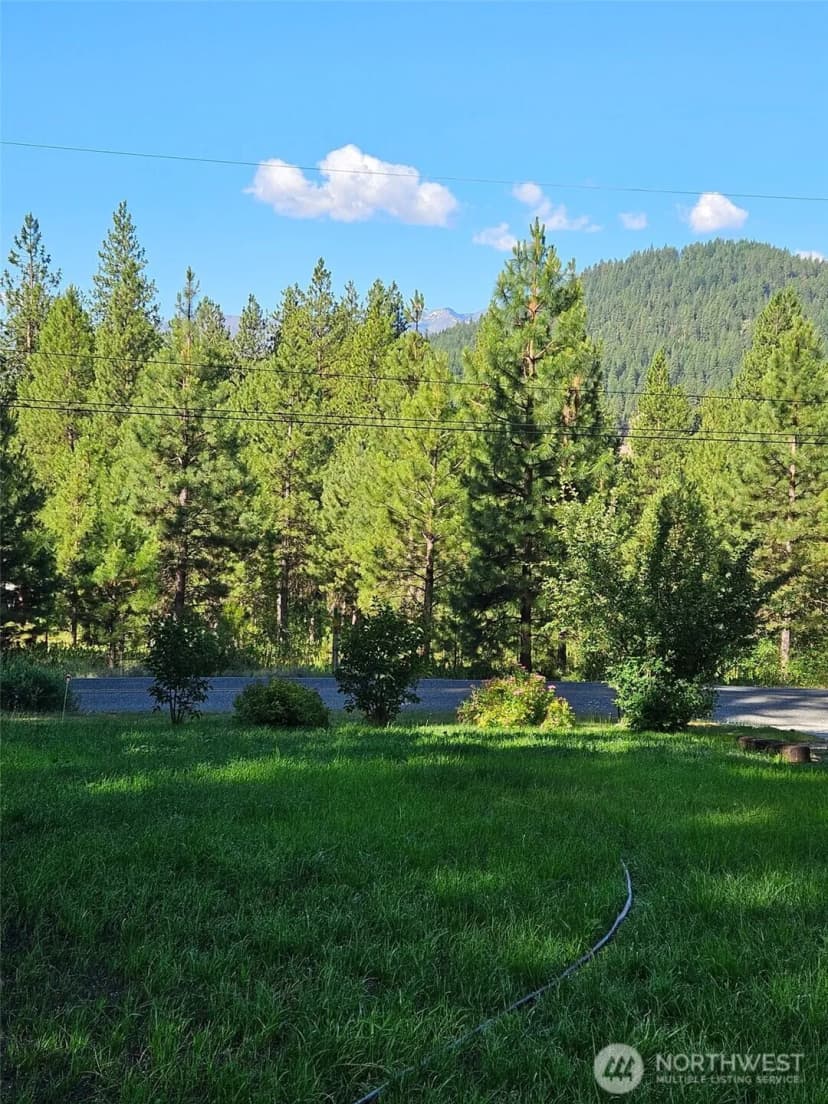 Property photo for 21603 Camp 12 Road, Leavenworth photo 4