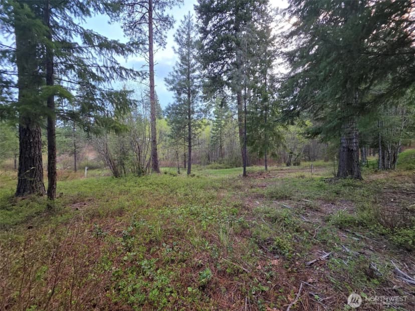 Property photo for 15 Lot Old Grove Trail, Cle Elum photo 6