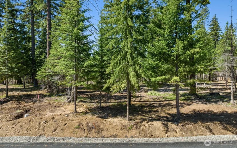 Property photo for 15 Lot Old Grove Trail, Cle Elum photo 7