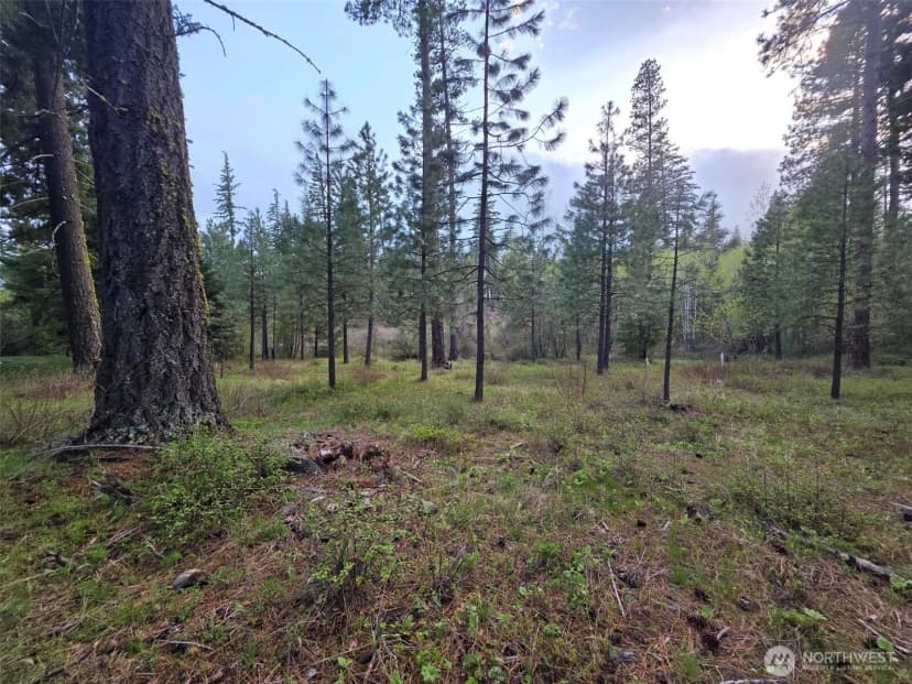 Property photo for 15 Lot Old Grove Trail, Cle Elum