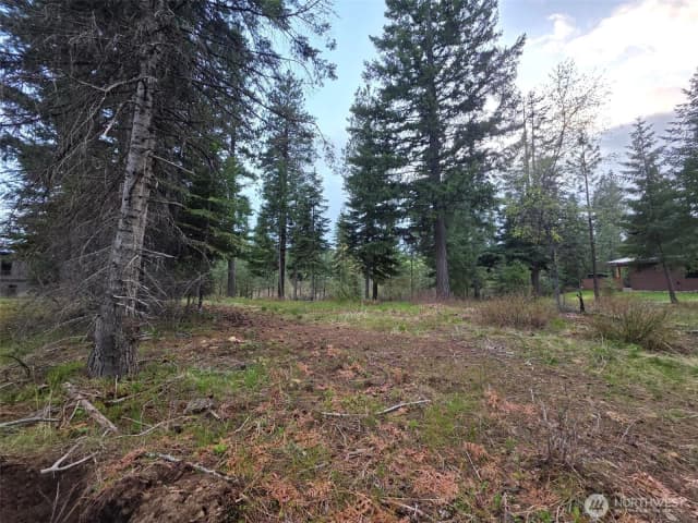 Property photo for 15 Lot Old Grove Trail, Cle Elum photo 3