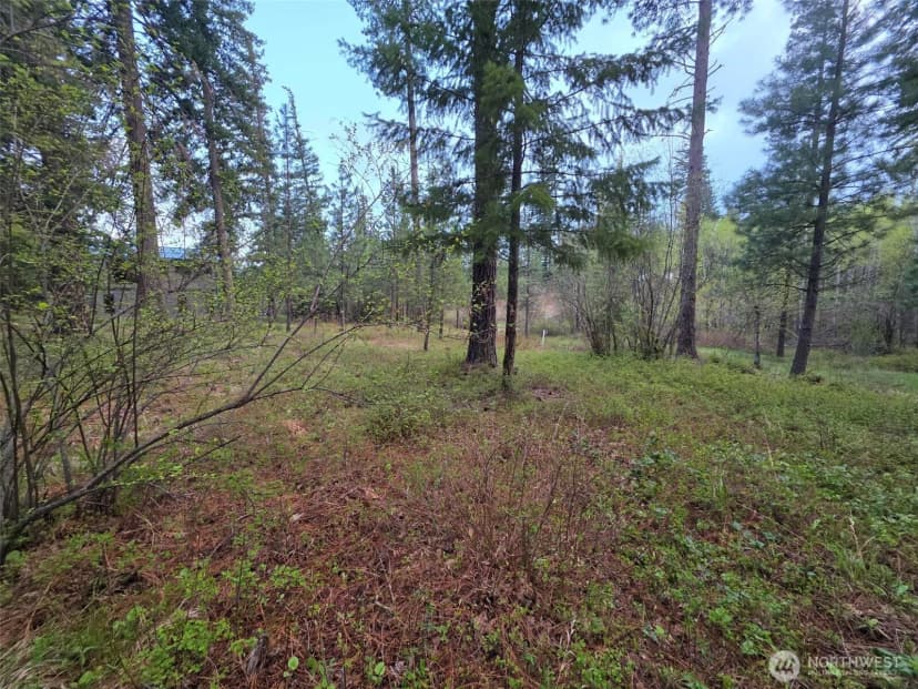Property photo for 15 Lot Old Grove Trail, Cle Elum photo 8