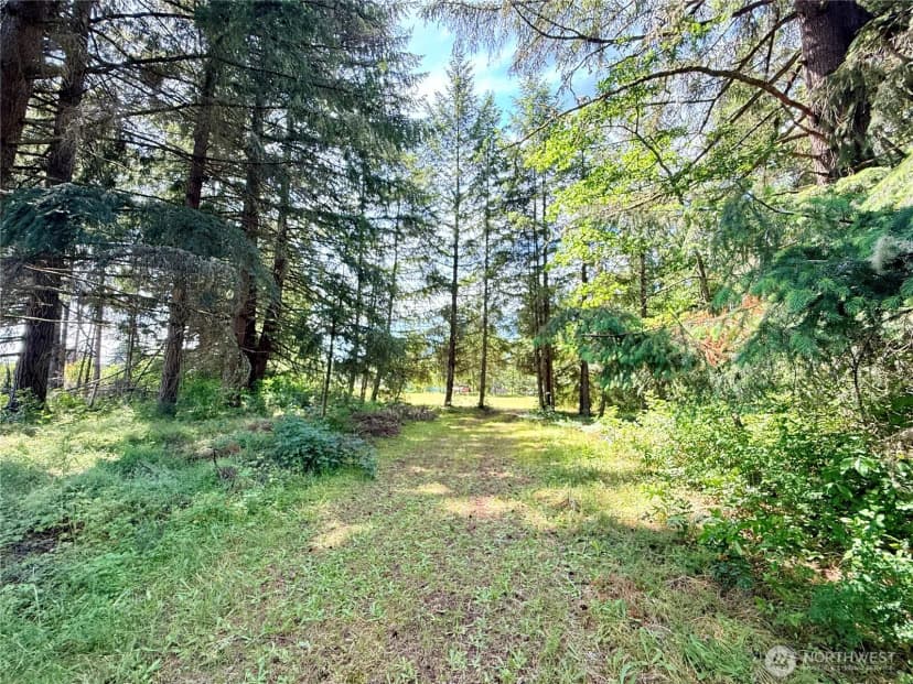 Property photo for 503 Centre Street N, Rainier photo 12