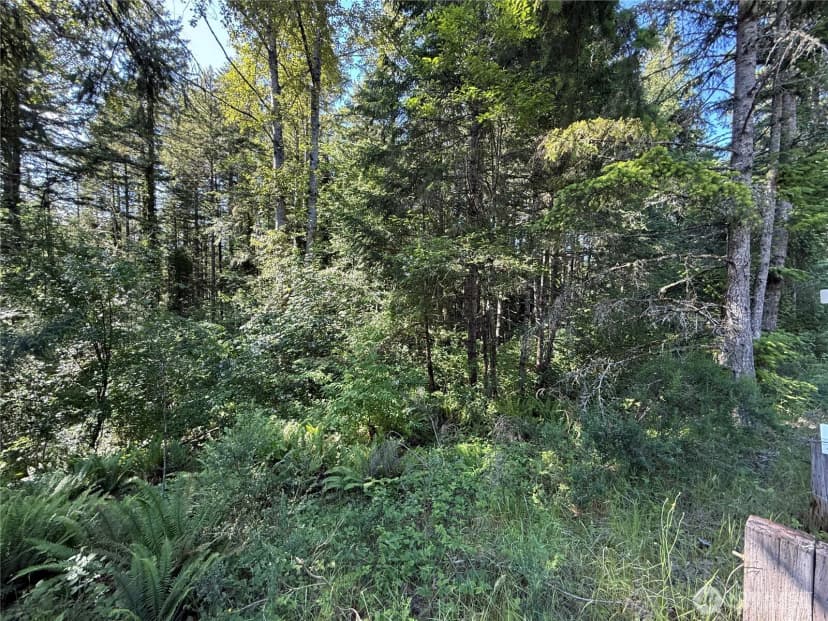 Property photo for 155 Xx 62nd Avenue Nw, Gig Harbor photo 12