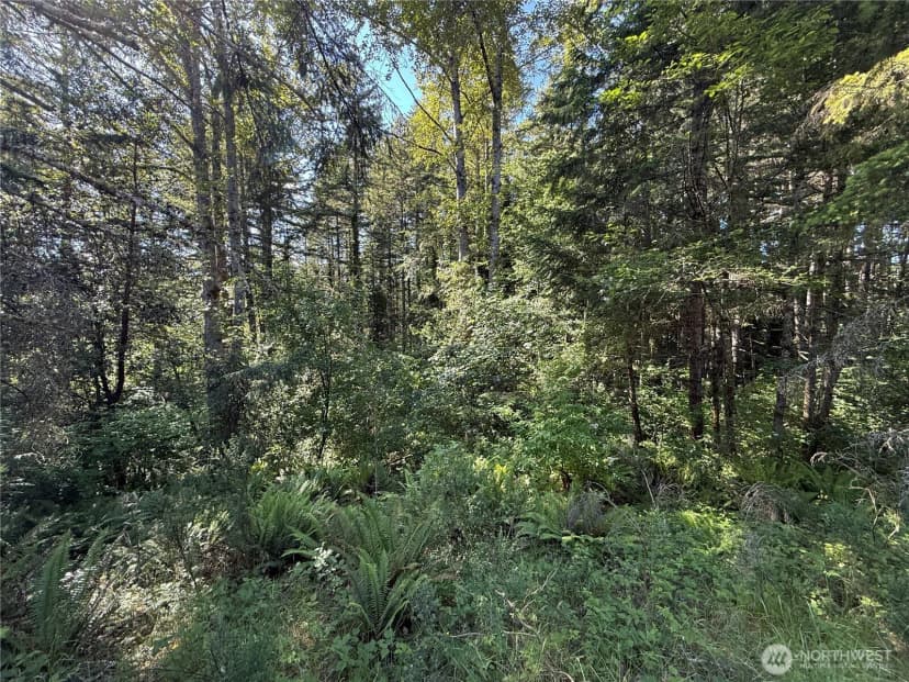 Property photo for 155 Xx 62nd Avenue Nw, Gig Harbor