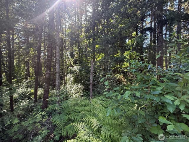 Property photo for 155 Xx 62nd Avenue Nw, Gig Harbor photo 4