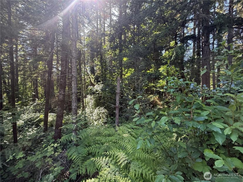 Property photo for 155 Xx 62nd Avenue Nw, Gig Harbor photo 4