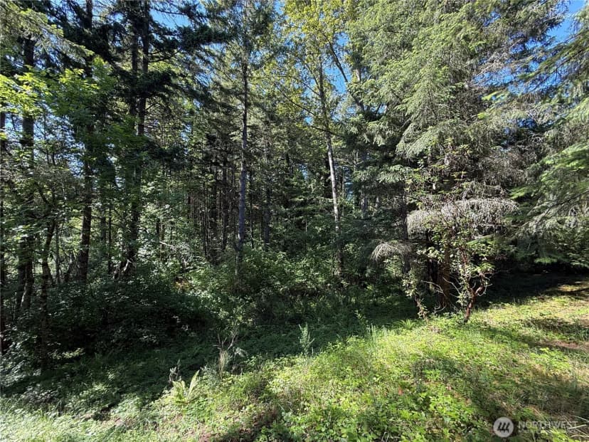 Property photo for 155 Xx 62nd Avenue Nw, Gig Harbor photo 11