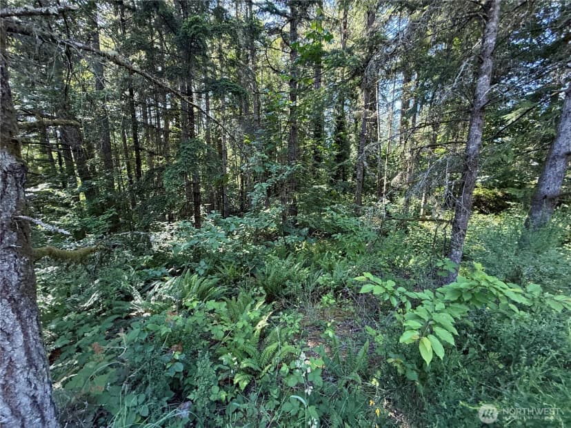 Property photo for 155 Xx 62nd Avenue Nw, Gig Harbor photo 13