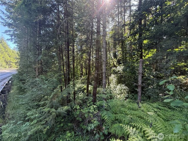 Property photo for 155 Xx 62nd Avenue Nw, Gig Harbor photo 5