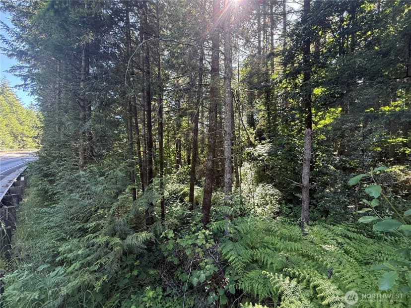 Property photo for 155 Xx 62nd Avenue Nw, Gig Harbor photo 5