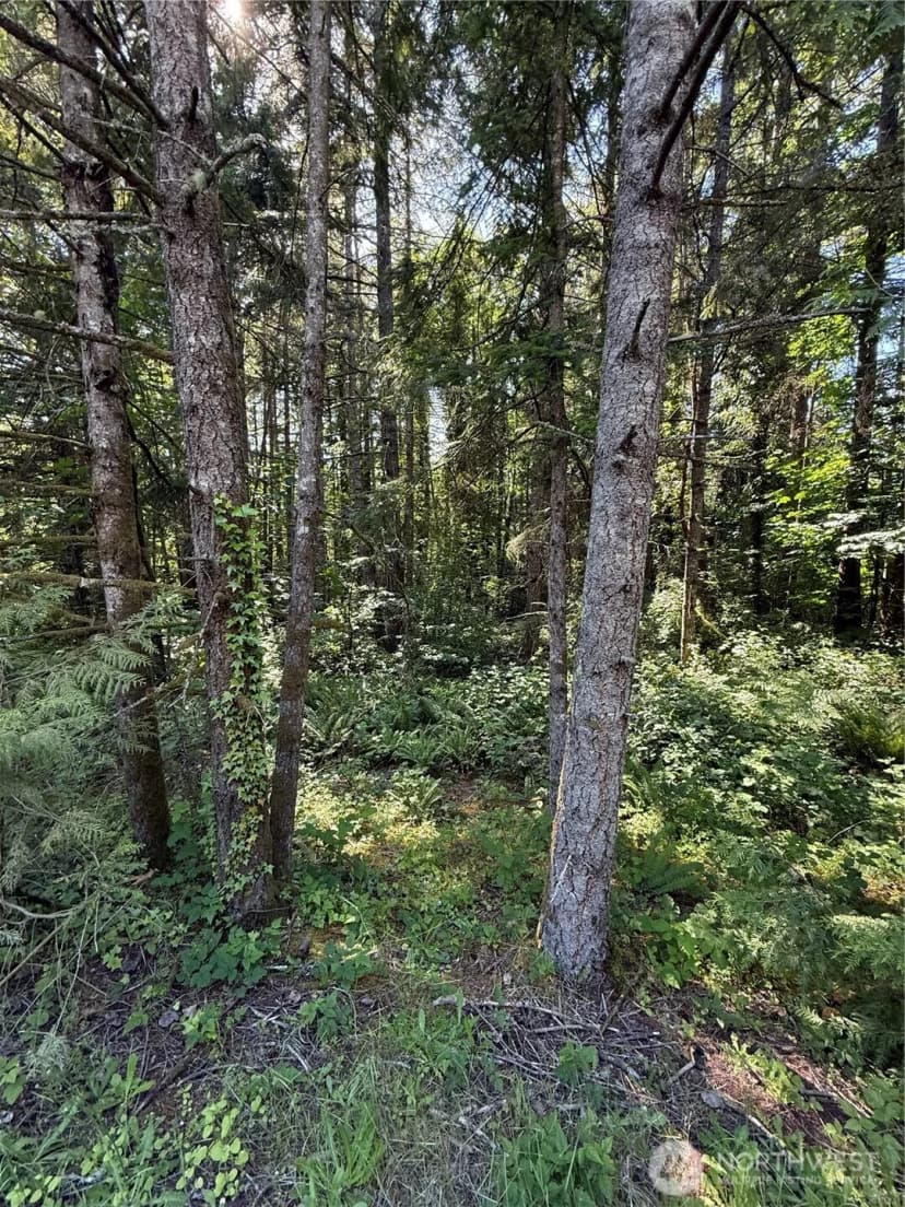 Property photo for 155 Xx 62nd Avenue Nw, Gig Harbor photo 15