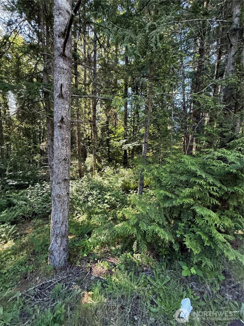Property photo for 155 Xx 62nd Avenue Nw, Gig Harbor photo 14