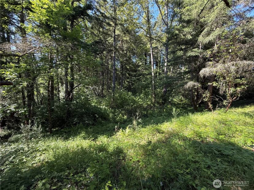 Property photo for 155 Xx 62nd Avenue Nw, Gig Harbor photo 2