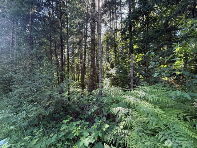 Property photo for 155 Xx 62nd Avenue Nw, Gig Harbor photo 3