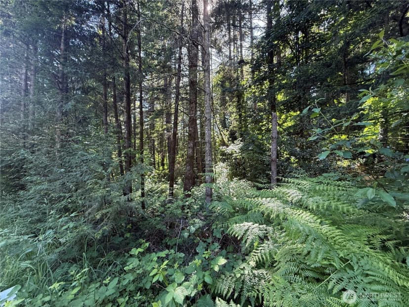 Property photo for 155 Xx 62nd Avenue Nw, Gig Harbor photo 3
