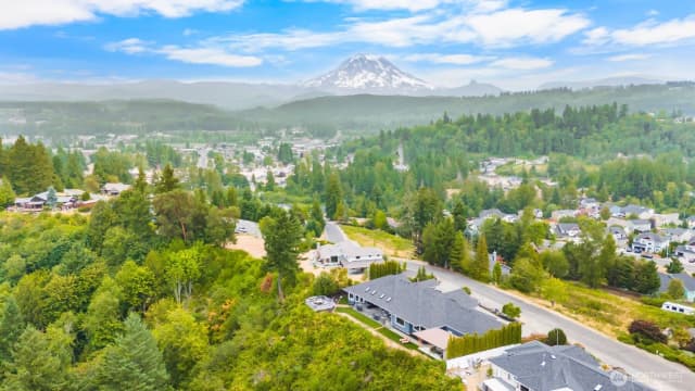 Property photo for 184 Dow Ridge Drive N, Eatonville photo 3