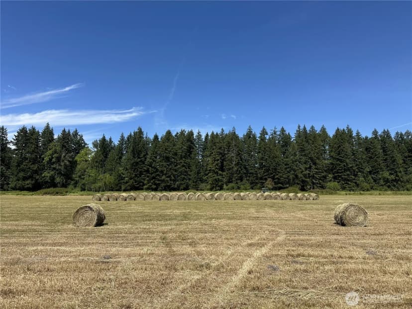 Property photo for 15620 143rd Avenue Se, Yelm photo 40