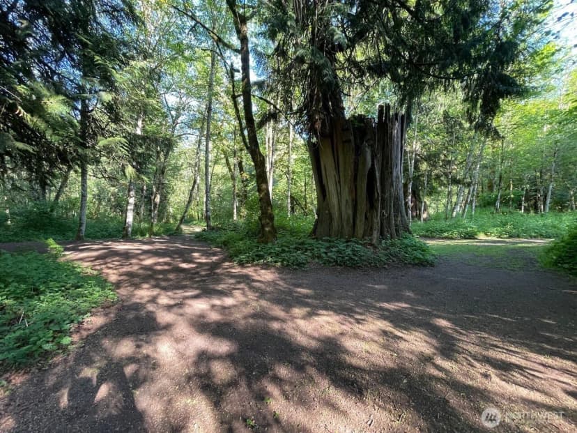 Property photo for 15901 108th Street E, Puyallup photo 21