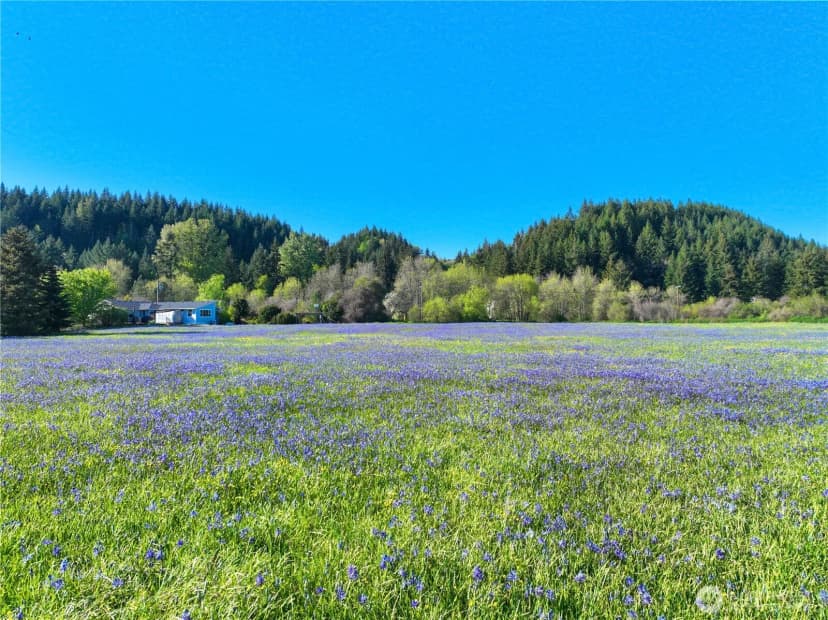Property photo for 4531 Old Military Road Se, Tenino photo 37