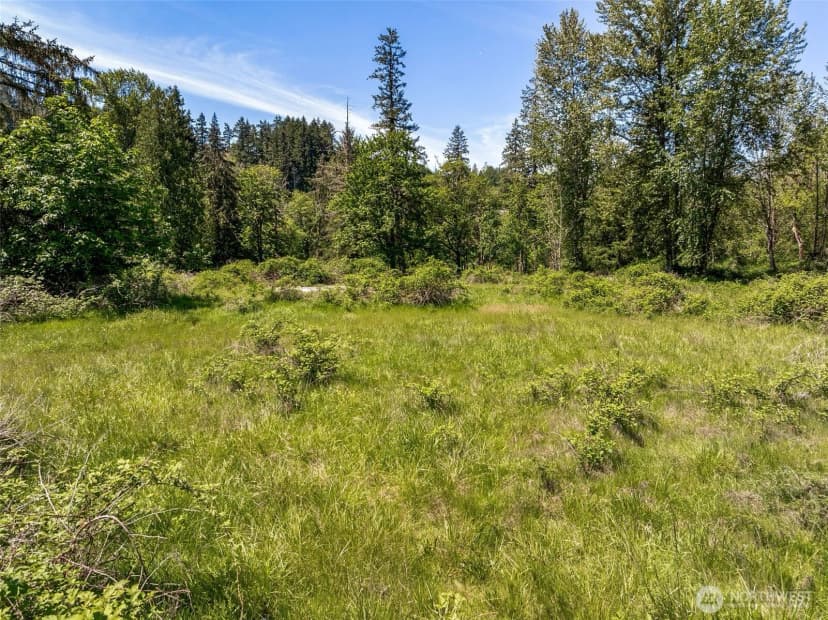Property photo for 27112 Orville Road, Orting photo 19