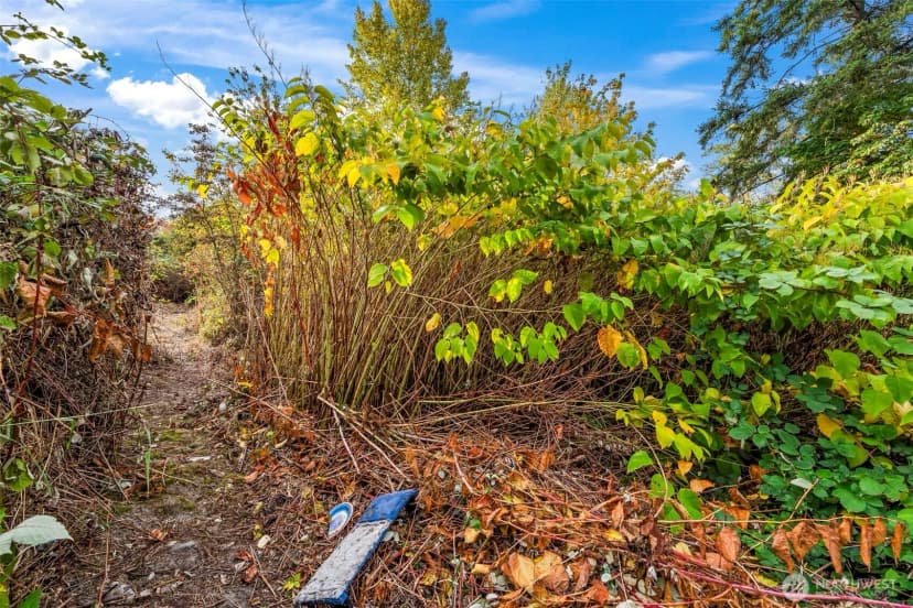 Property photo for 0 Fir Street, Milton photo 15