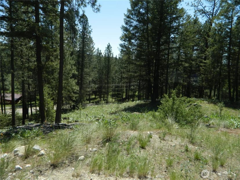 Property photo for 16 Summit Lake Road, Tonasket photo 12