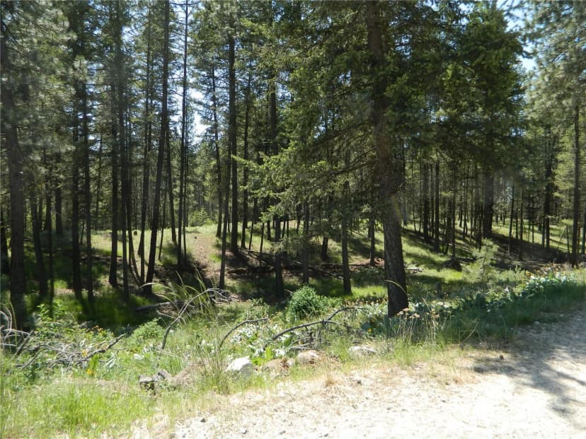 Property photo for 16 Summit Lake Road, Tonasket photo 10
