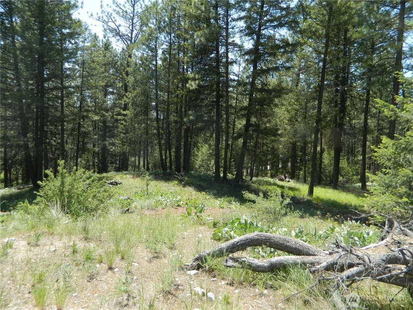 Property photo for 16 Summit Lake Road, Tonasket photo 11