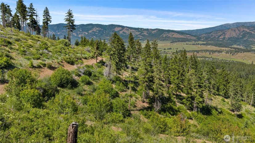 Property photo for 1321 Hazelnut Lane, Cle Elum photo 30