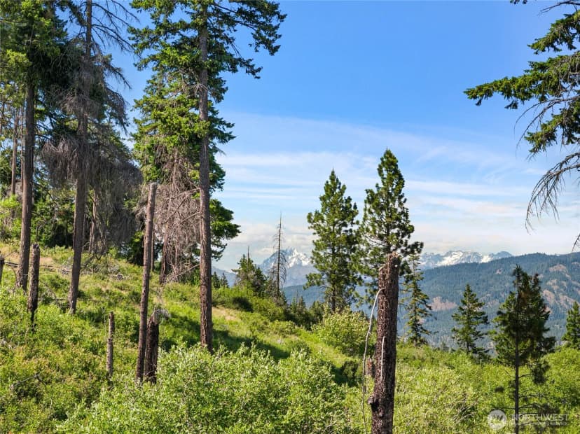 Property photo for 1321 Hazelnut Lane, Cle Elum photo 27