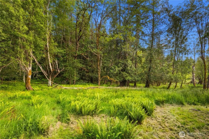 Property photo for 17816 Herron Road Nw, Lakebay photo 38