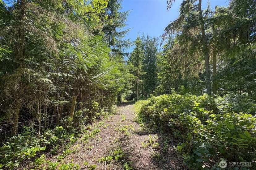 Property photo for 5541 S Doss Road, Port Angeles photo 31