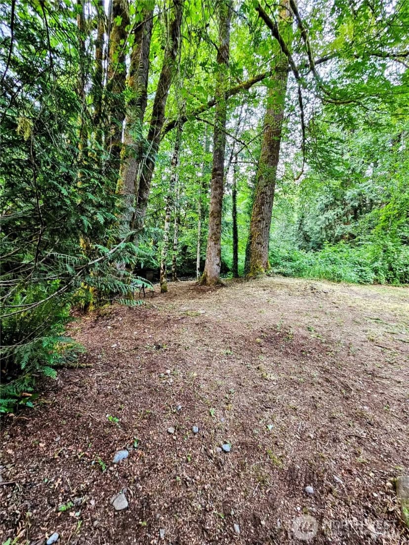 Property photo for 23618 Se Tiger Mountain Road, Issaquah photo 28