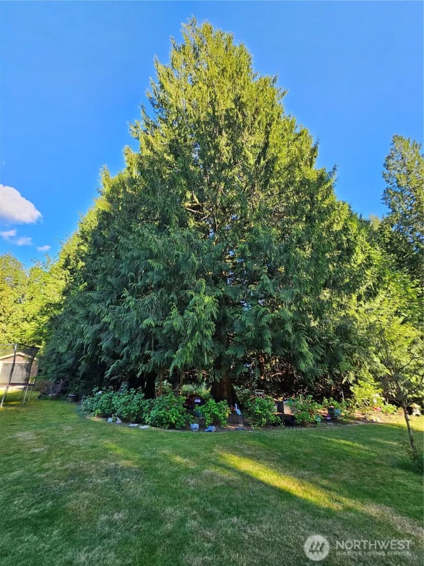 Property photo for 23618 Se Tiger Mountain Road, Issaquah photo 31