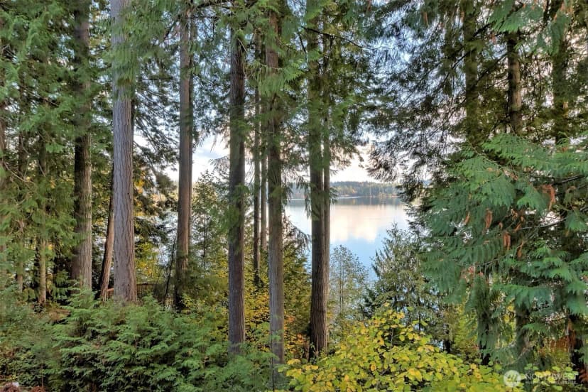 Property photo for 898 Se Dahman Road, Shelton photo 39