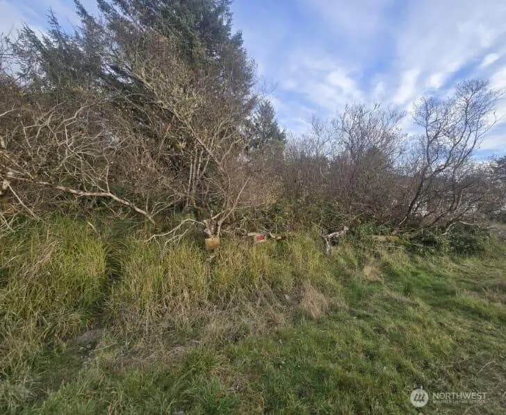 Property photo for 570 Ne Puffin Avenue, Ocean Shores