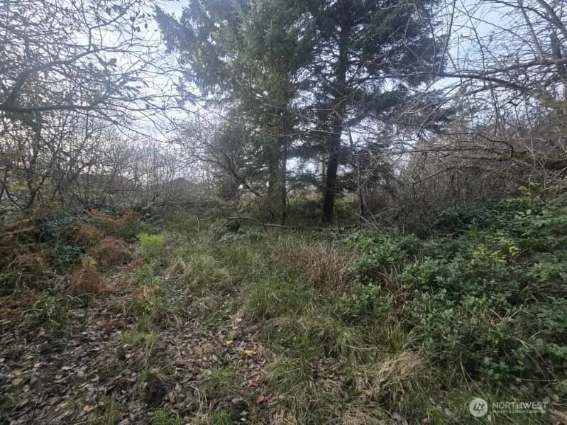 Property photo for 570 Ne Puffin Avenue, Ocean Shores photo 2