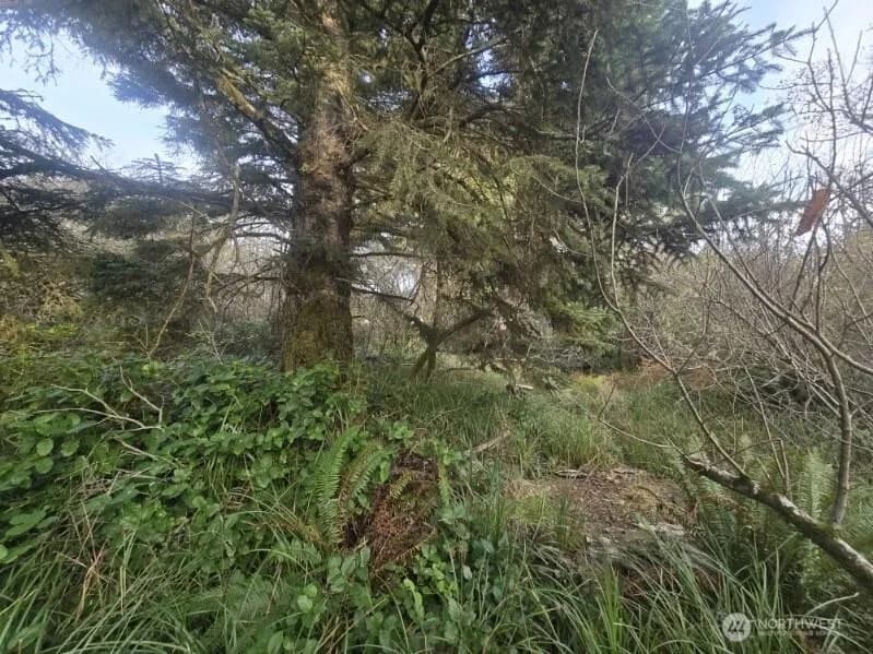 Property photo for 570 Ne Puffin Avenue, Ocean Shores photo 4