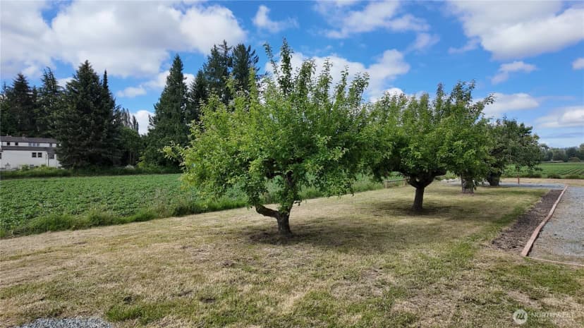Property photo for 11132 Sterling Road, Sedro Woolley photo 26