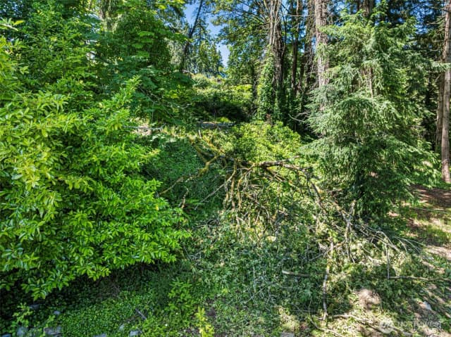 Property photo for 14447 Crescent Valley Road Ne, Olalla photo 3